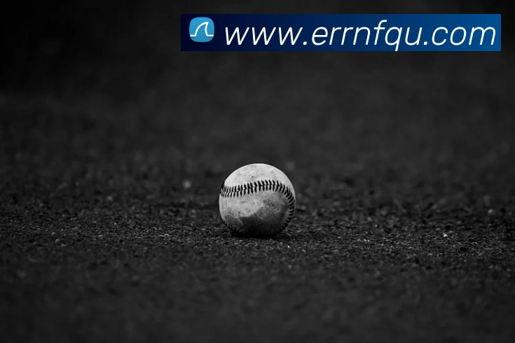 开云kaiyun网页版品牌故事