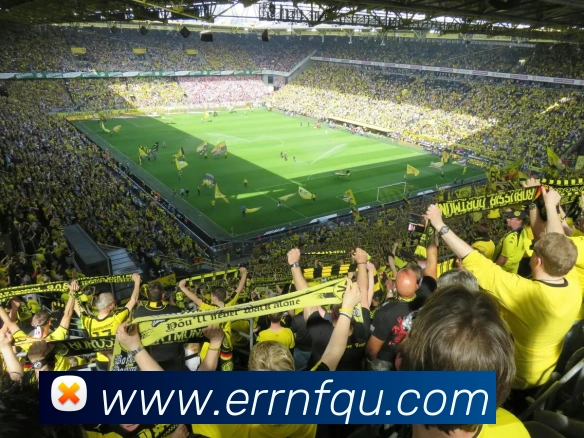 开云kaiyun网页版服务体系